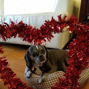 Meet your Posher, Maritza